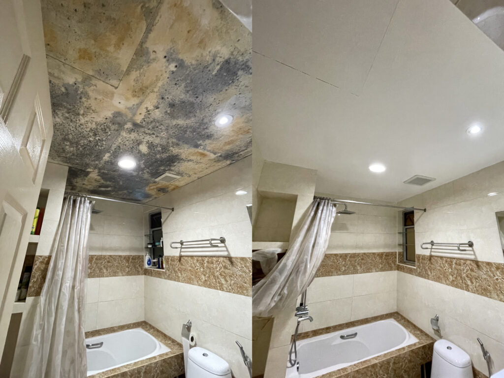 Anti-Mould Treatment Singapore