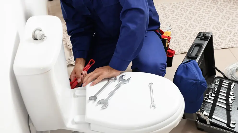 Toilet Leakage and Flush System Repair