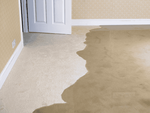 Ceiling Leak Repair