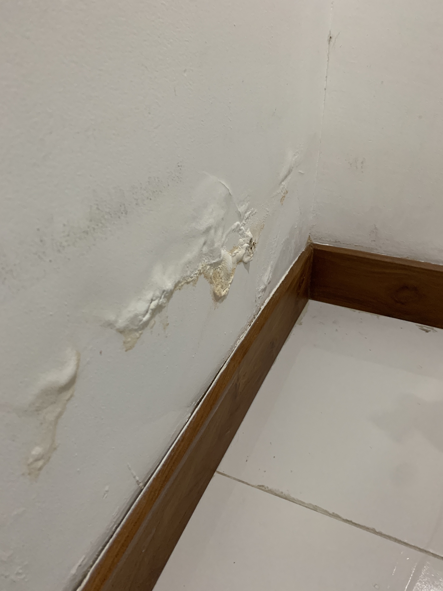 Wall Seepage Repair Singapore