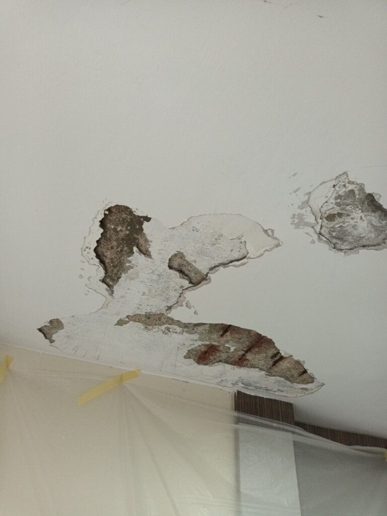 Wall Seepage Repair Tampines Singapore