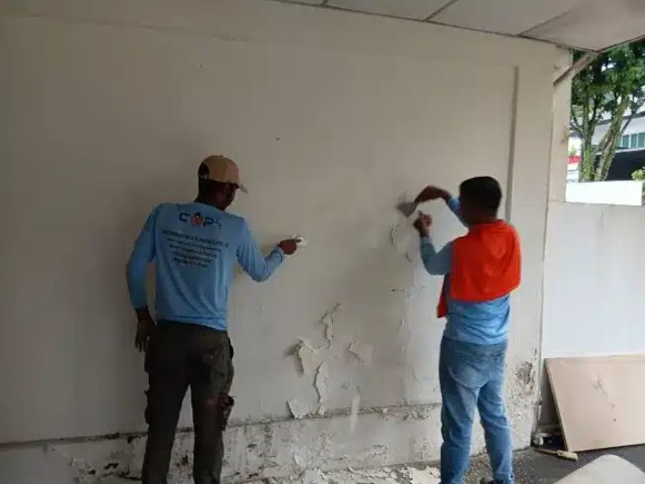 Wall Seepage Repair Singapore