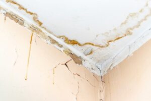 residential Properties Wall Seepage Repair