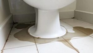 Bathroom Leak to Unit Below Pasir Ris, Singapore